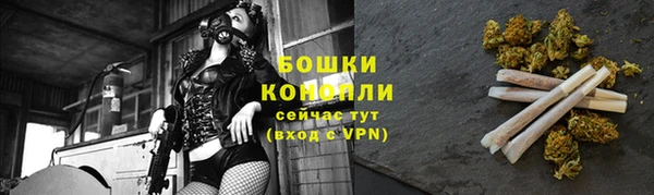 ГАЛЛЮЦИНОГЕННЫЕ ГРИБЫ Вяземский