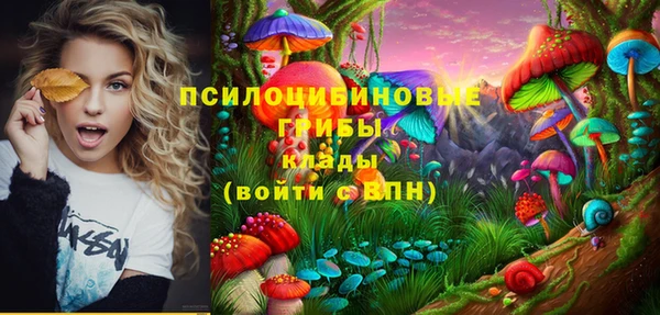 соль ск Волосово