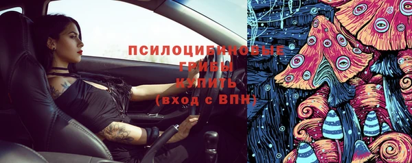 СК Володарск
