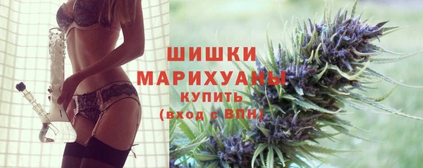 ГАЛЛЮЦИНОГЕННЫЕ ГРИБЫ Вяземский