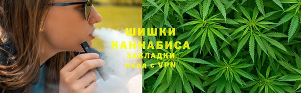 ГАЛЛЮЦИНОГЕННЫЕ ГРИБЫ Вяземский